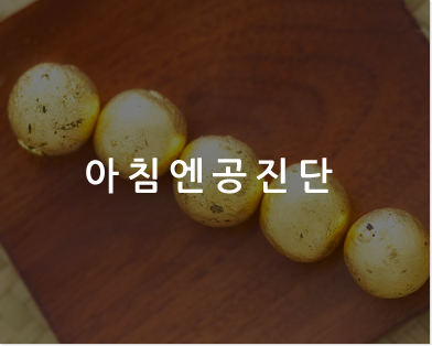 아침엔공진단